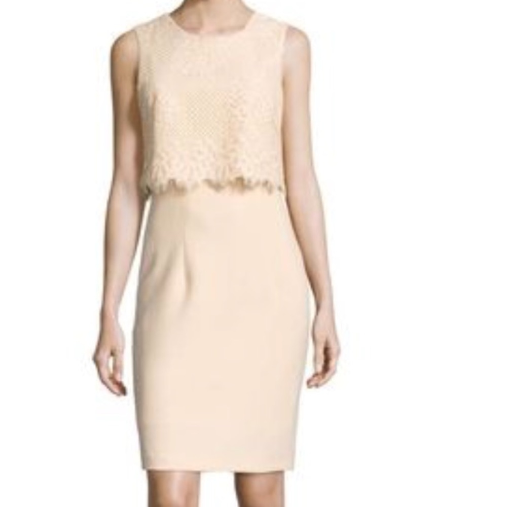 NWOT Ava & Aiden Lace Sheath Overlay Dress (Beige)